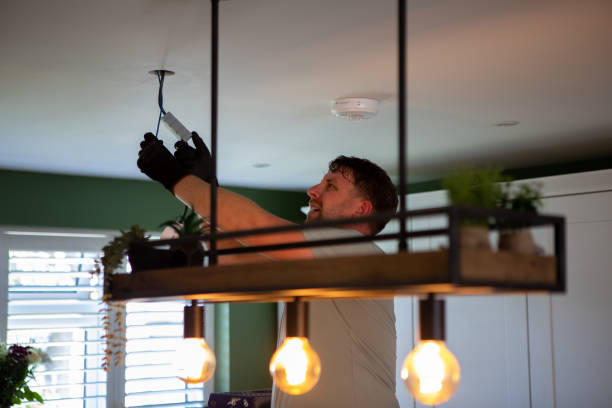 Best Electric Panel Repair  in , HI